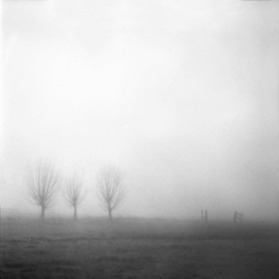 3-willows