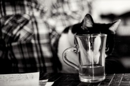 peeking-thru-a-glass