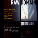 Raw Domain flyer